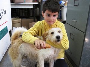 Espinete-New (1).jpg Espinete-New (1).jpg