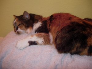 DSCN7312 - Kopie.JPG