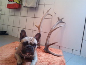 2013-05-29 16.10.48.jpg