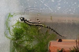 2013-11-13 14.47.28bk.jpg 2013-11-13 14.47.28bk.jpg