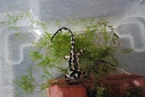 2013-11-13 14.47.40bk.jpg 2013-11-13 14.47.40bk.jpg