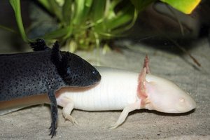 IMG_0557bk.JPG IMG_0557bk.JPG