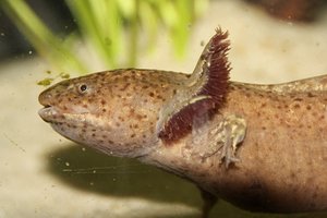 IMG_0597bk.JPG IMG_0597bk.JPG