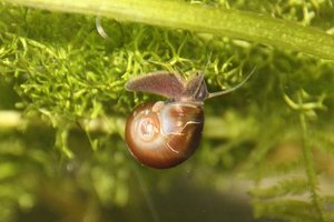 IMG_0846bk.JPG IMG_0846bk.JPG