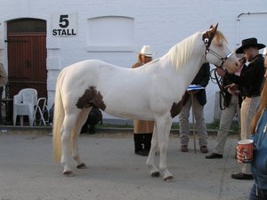 PA030017 (640x479).jpg