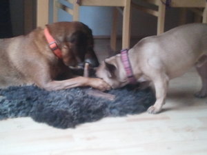 2013-11-29 11.38.12.jpg