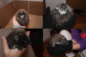 IMG_2131-tile.jpg IMG_2131-tile.jpg