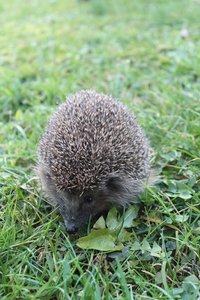 IMG_3199.JPG IMG_3199.JPG