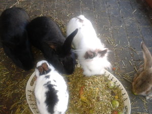 2013-11-26 10.50.51.jpg