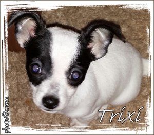 2013-11-29 21.36.15-1.jpg