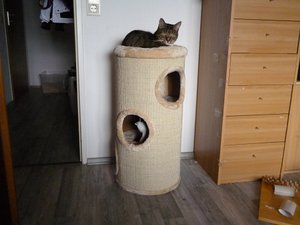 P1000335.JPG P1000335.JPG