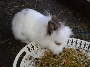 2013-12-02 14.47.13.jpg