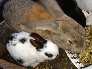 2013-12-02 14.47.20.jpg