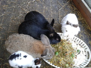 2013-12-02 14.47.43.jpg