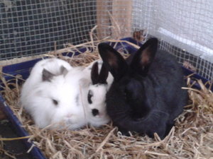 2013-12-06 14.33.46.jpg