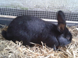 2013-12-06 14.34.03.jpg