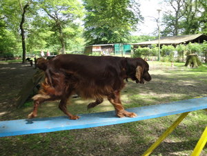 DSC08687_Bildgröße ändern.JPG