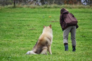 Dummy 2013 schau da.JPG