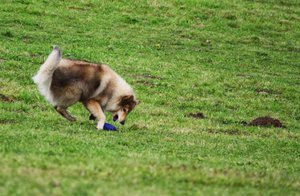 Dummy 2013 Uuups zu schnell.JPG