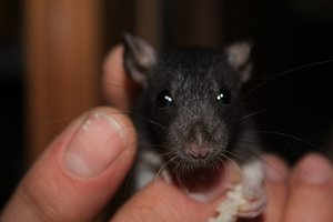 IMG_6748.JPG IMG_6748.JPG