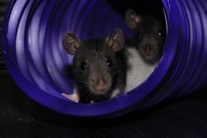 IMG_6949.jpg IMG_6949.jpg