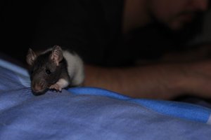 IMG_7230.jpg IMG_7230.jpg