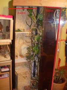 DSCN7204 - Kopie.JPG