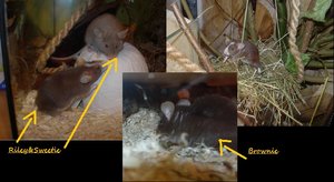 DSCN7257 - Kopie.JPG DSCN7257 - Kopie.JPG