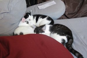 IMG_1471.JPG IMG_1471.JPG