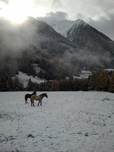 2013-11-10 09.33.20 - Kopie.jpg