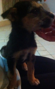 Bildschirmfoto 2013-12-14 um 22.08.31.png