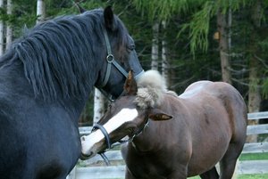 IMG_6375 - Kopie.jpg