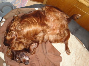 DSC05033_Bildgröße ändern.JPG