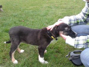 20131215_113304.jpg 20131215_113304.jpg