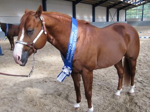 IMG_2177 (640x480).jpg IMG_2177 (640x480).jpg