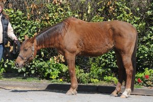 DSC_4091 (640x425).jpg DSC_4091 (640x425).jpg