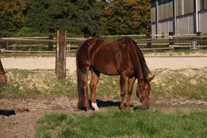 IMG_4441.JPG (640x427).jpg