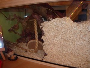 DSCN0007 - Kopie.JPG DSCN0007 - Kopie.JPG