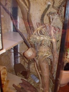 DSCN0001 - Kopie.JPG DSCN0001 - Kopie.JPG