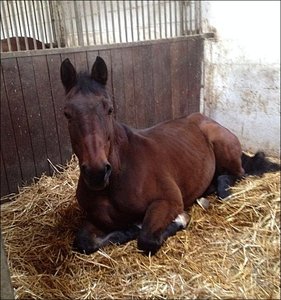 1474910_253175508174925_831549746_n.jpg 1474910_253175508174925_831549746_n.jpg