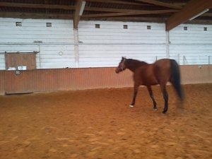 ab5343910606c722833ee590cb19c92e77020110.jpg ab5343910606c722833ee590cb19c92e77020110.jpg