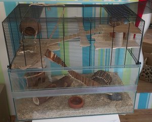 IMAG0989.jpg IMAG0989.jpg