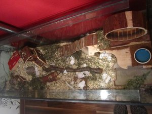 vollansicht.jpg vollansicht.jpg