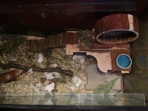 rechte Seite.jpg rechte Seite.jpg