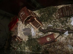 linke seite.jpg linke seite.jpg