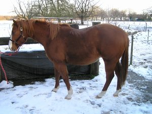 PC290016 (640x479).jpg PC290016 (640x479).jpg