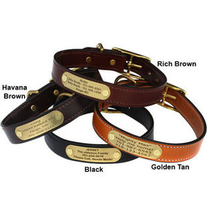 personalized-english-bridle-leather-dog-collar-with-nameplate_11857_310x310.jpg