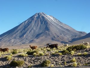 P1030793 - Kopie.JPG