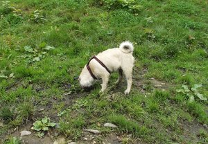 533777_465775080187321_716655314_n.jpg 533777_465775080187321_716655314_n.jpg