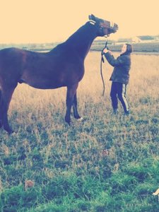 f72f4ec8.m.jpg f72f4ec8.m.jpg